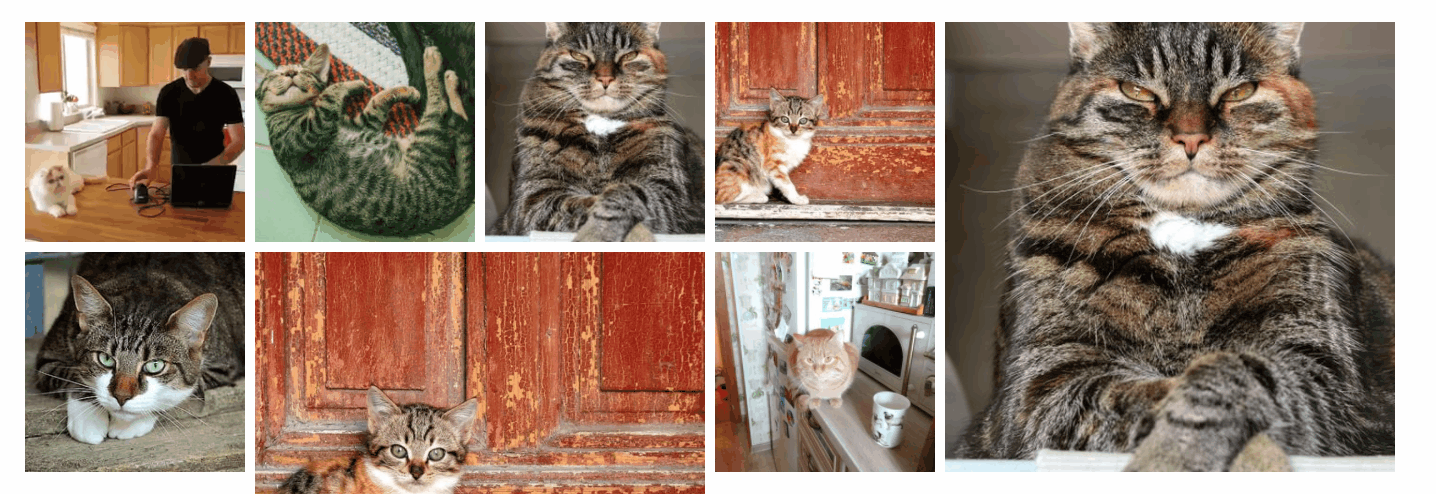widget_editor_inline_videos.gif